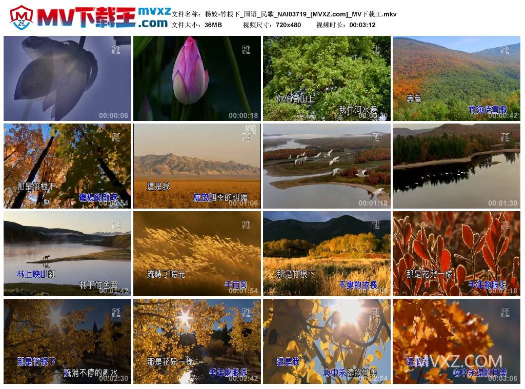 杨姣-竹根下_国语_民歌_NAI03719